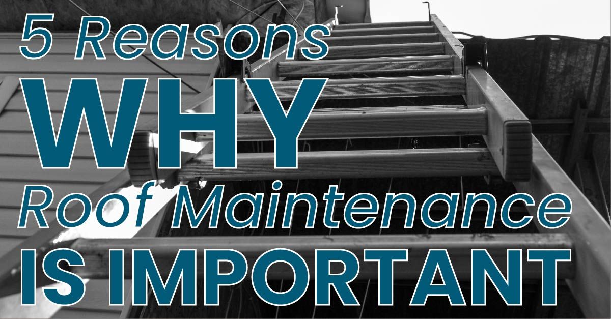 5 Reasons Why Roof Maintenance Is Important